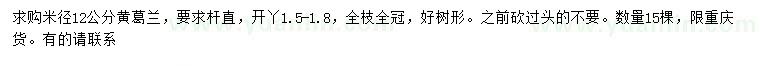 求購米徑12公分黃葛蘭