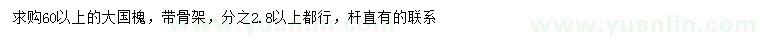 求購(gòu)60公分以上大國(guó)槐