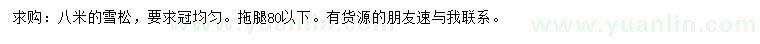 求購8米雪松