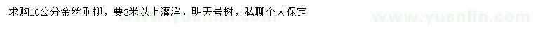 求購(gòu)10公分金絲垂柳