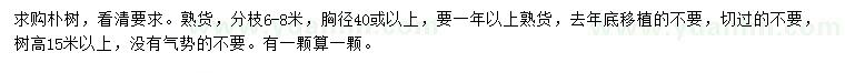 求購胸徑40公分以上樸樹