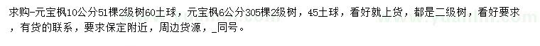 求購6、10公分元寶楓