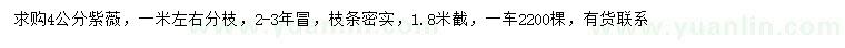 求購4公分紫薇