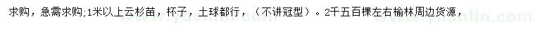 求購(gòu)1米以上云杉苗