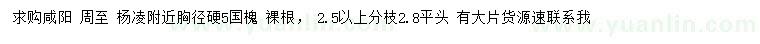 求購(gòu)胸徑5公分國(guó)槐