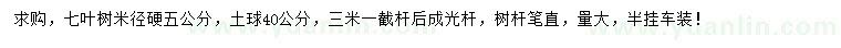 求購米徑5公分七葉樹