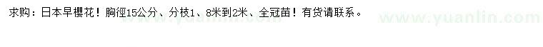 求購胸徑15公分日本早櫻