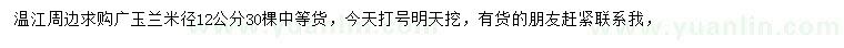 求購米徑12公分廣玉蘭
