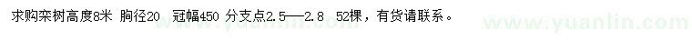 求購高8米欒樹