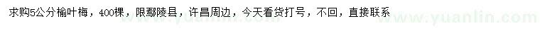 求購5公分榆葉梅