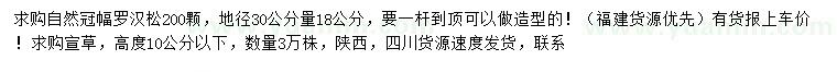 求購地徑30公分量18公分羅漢松、高10公分以下萱草