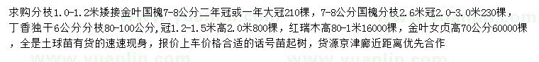 求購金葉國槐、國槐、丁香等