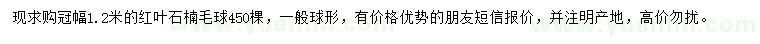 求購冠幅1.2米紅葉石楠毛球