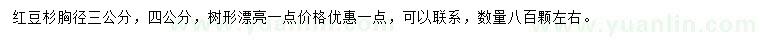求購胸徑3、4公分紅豆杉
