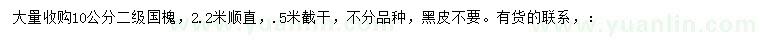 求購10公分國槐