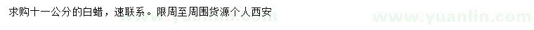 求購(gòu)11公分白蠟