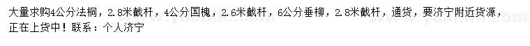 求購4公分法桐、國槐、6公分垂柳