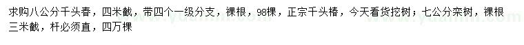 求購8公分千頭椿、7公分欒樹