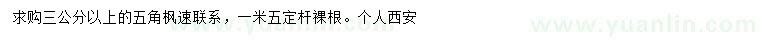 求購3公分以上五角楓
