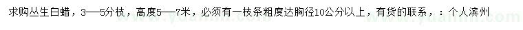 求購3---5分枝叢生白蠟