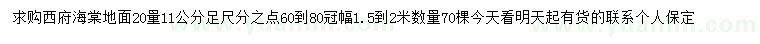 求購(gòu)地面20量11公分西府海棠