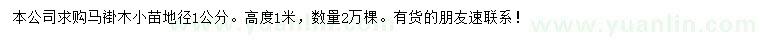 求購地徑1公分馬褂木