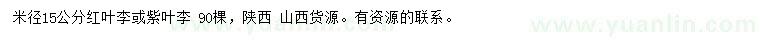 求購(gòu)米徑15公分紅葉李或紫葉李