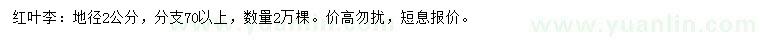 求購(gòu)地徑2公分紅葉李