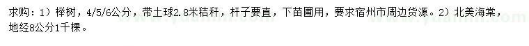 求購4/5/6公分櫸樹、地徑8公分北美海棠