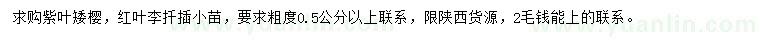 求購粗度0.5公分以上紫葉矮櫻、紅葉李