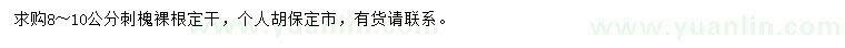 求購8-10公分刺槐
