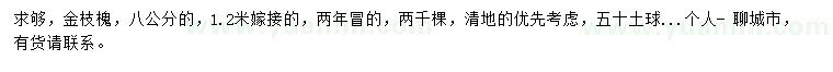 求購8公分金枝槐