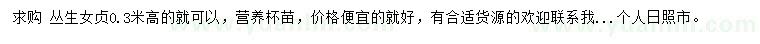 求購高0.3米叢生女貞