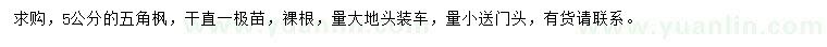 求購5公分五角楓