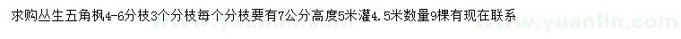 求購高5米叢生五角楓