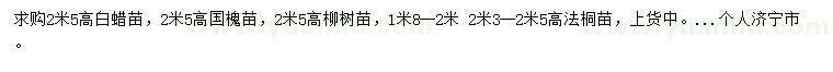 求購白蠟苗、國槐苗、柳樹苗等