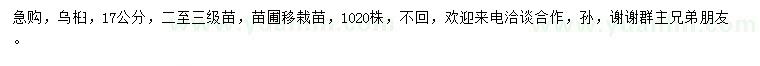 求購17公分烏桕