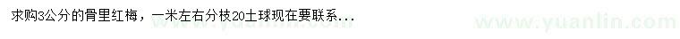 求購3公分骨里紅梅