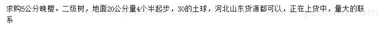 求購20量4.5公分以上晚櫻