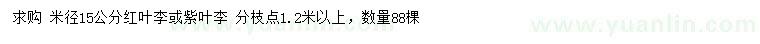 求購米徑15公分紅葉李或紫葉李