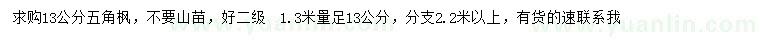 求購1.3米量足13公分五角楓