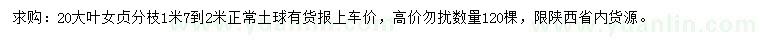 求購20公分大葉女貞