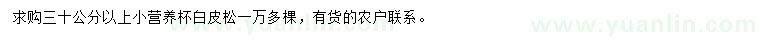 求購30公分以上小白皮松