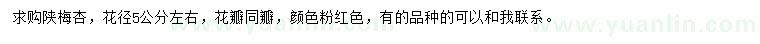 求購(gòu)陜梅杏