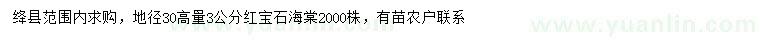 求購30高量3公分紅寶石海棠