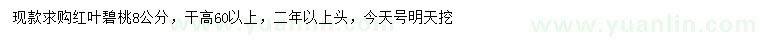 求購8公分紅葉碧桃