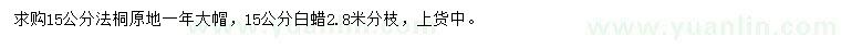 求購(gòu)15公分法桐、白蠟