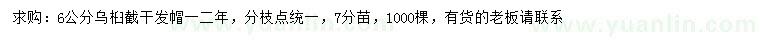 求購(gòu)6公分烏桕