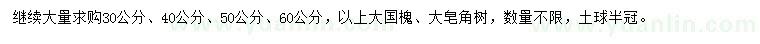 求購30、40、50、60公分以上大國槐、大皂角樹