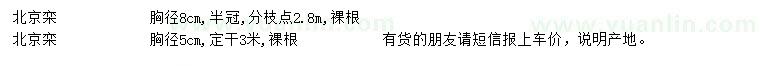 求購胸徑5、8公分北京欒